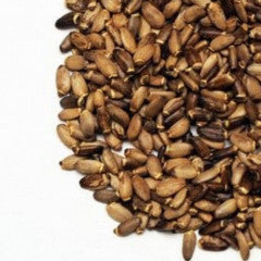 MILK THISTLE SEEDS - OSTROPEST